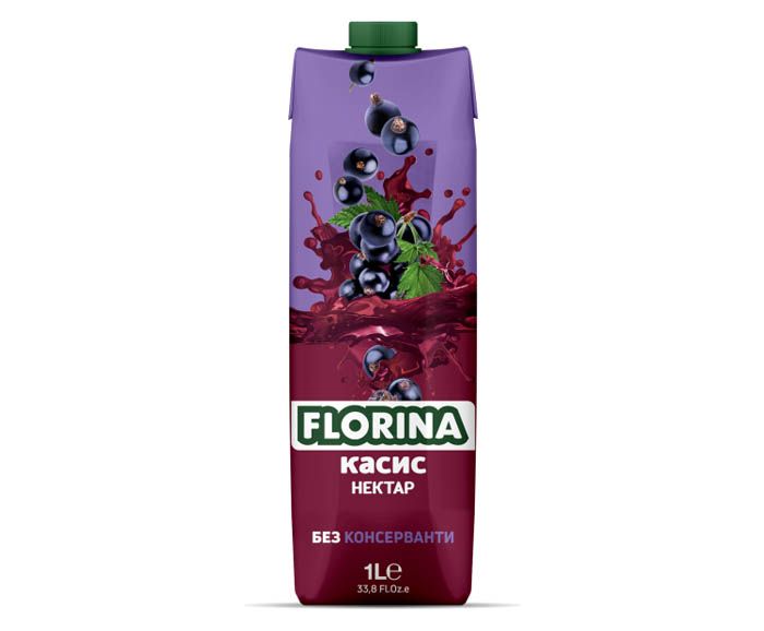 Нектар Касис 25% Florina 1 л
